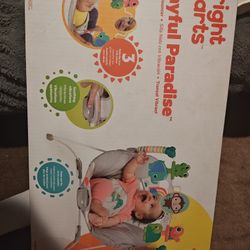 Baby Bouncer 
