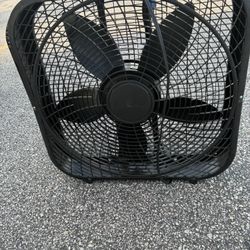 Fan