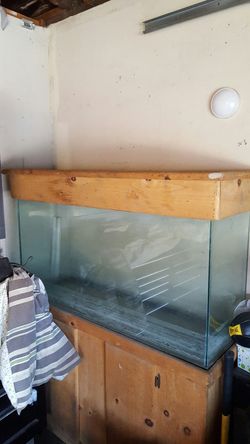 75 gallon
