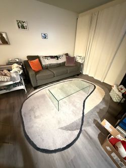 Couch/Sofa and Rug
