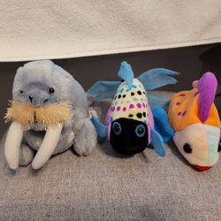 Stuffed Animals 