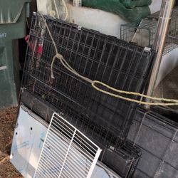 Animal Cage 