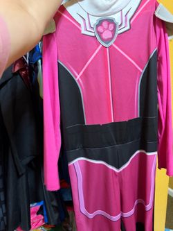 Paw patrol Sky costume