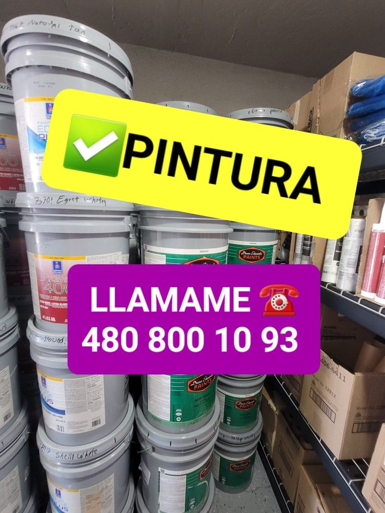 Paint For Sale