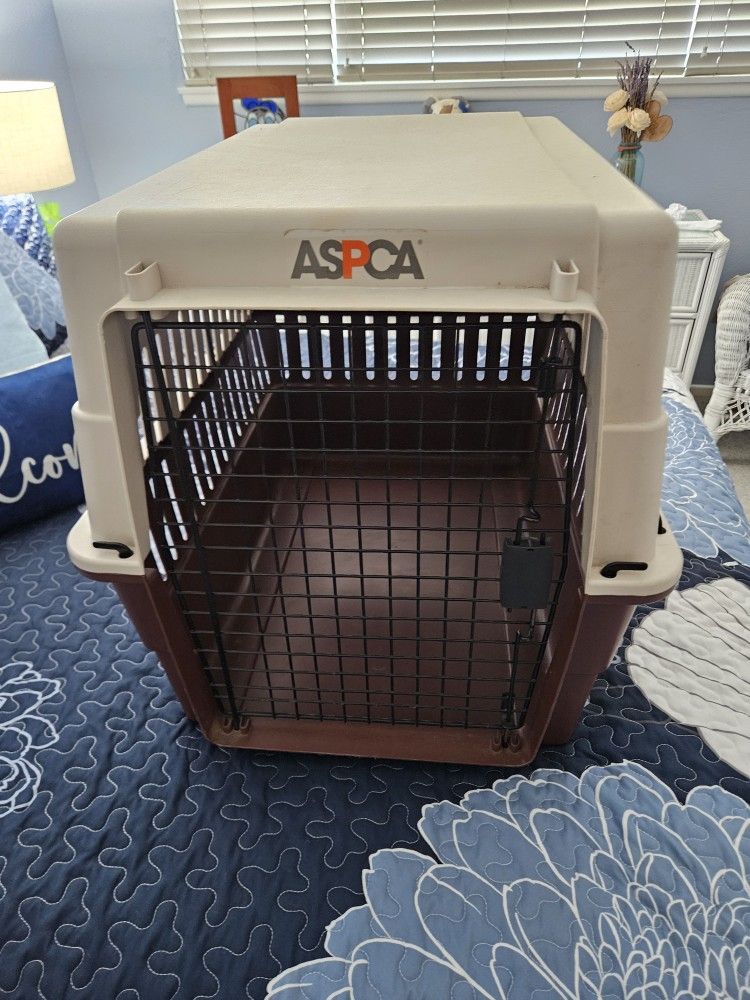 Dog Crate Clean