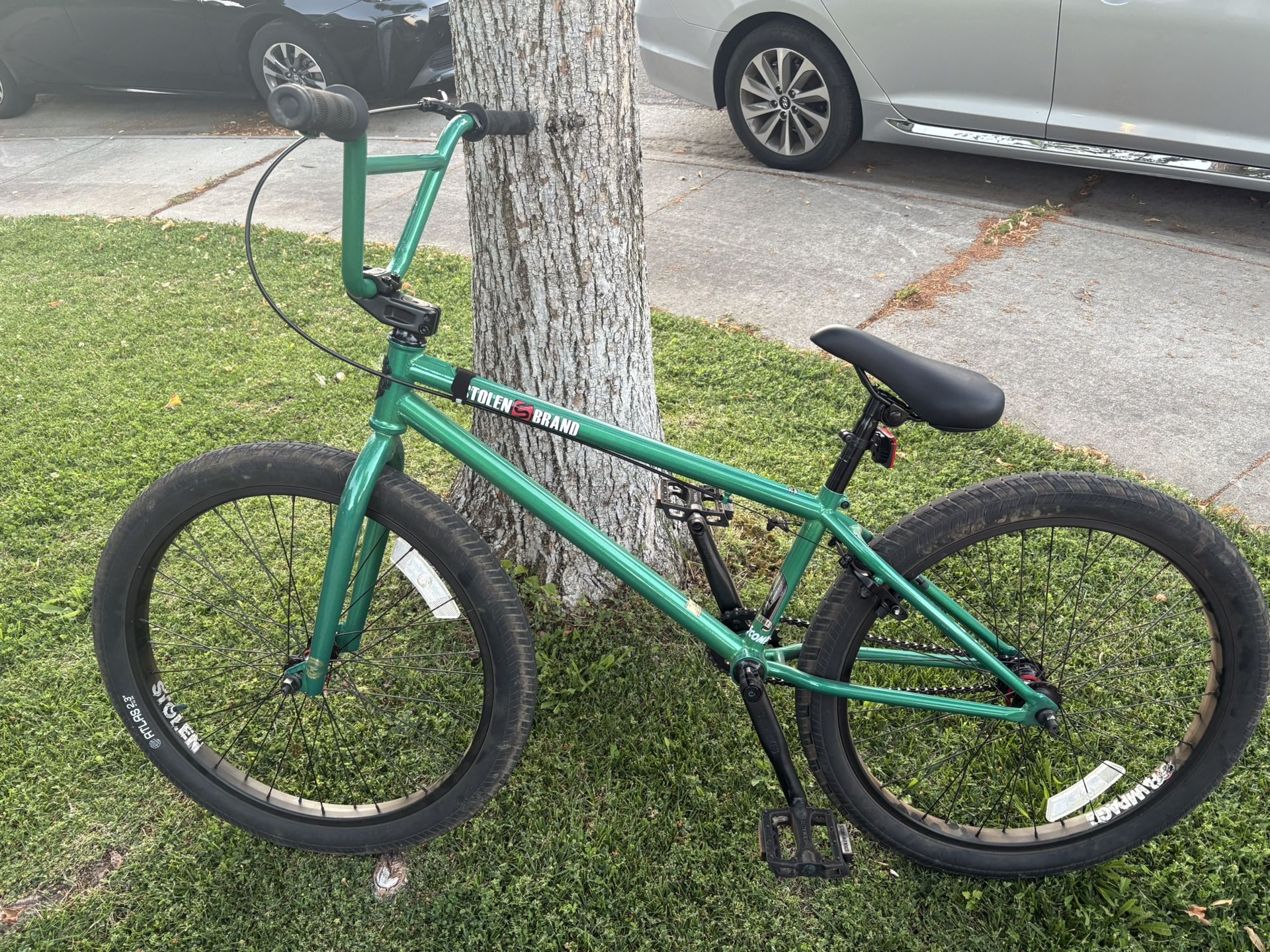 24in. STOLEN. “saint”