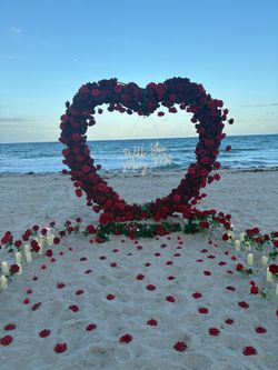 Proposal setup