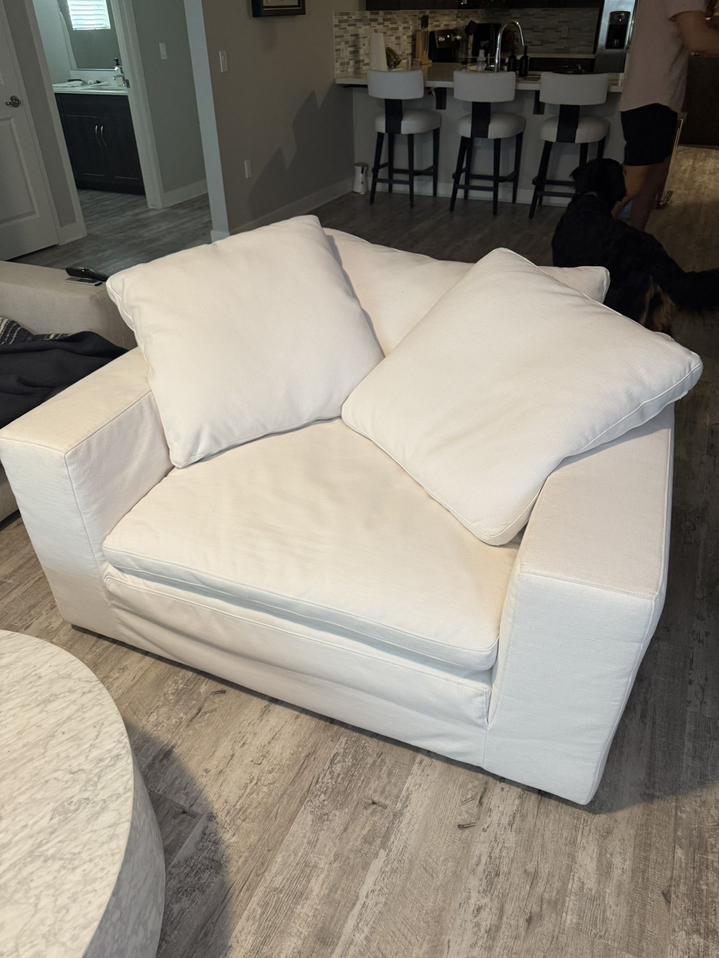 Restoration Hardware Luxe Cloud Chair