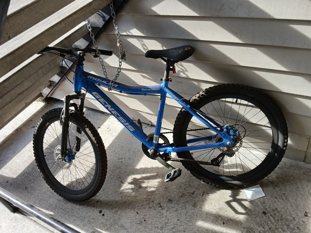 Bike For Sale, Blue