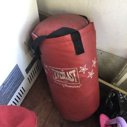 Everlast Half Size Punching Bag