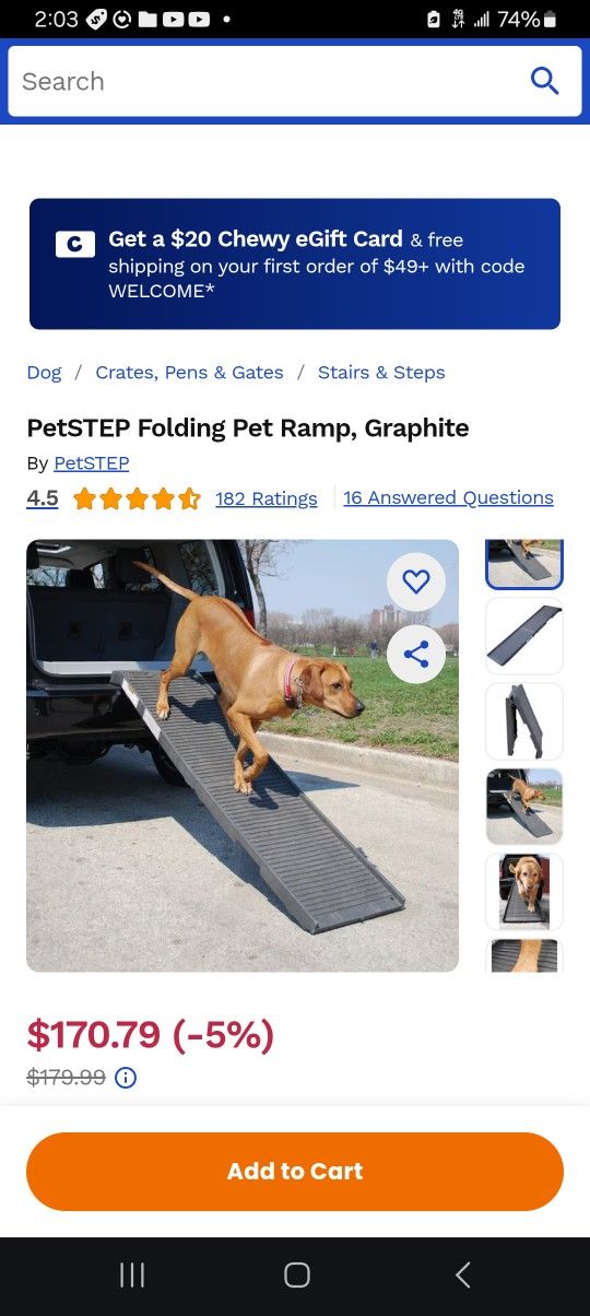 DOG RAMP