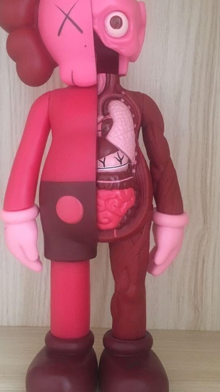 Kaws Companion Dolls 8inch