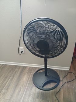 Fan