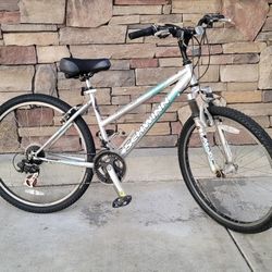 Mountain Bike (no issues) 