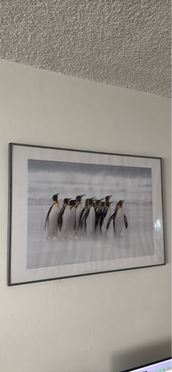 Large framed penguin framed art