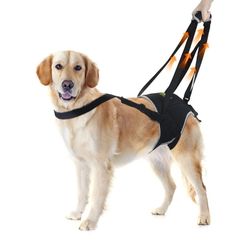 Dog Lift Harness for Extra Large Dogs, Harness with Handle for Lifting, Dog Back Leg Support for Weak Hind Legs to Prevent Dogs from Falling, Breathab