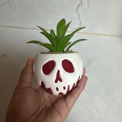 Disney Store Poison Apple Artificial Plant Pot