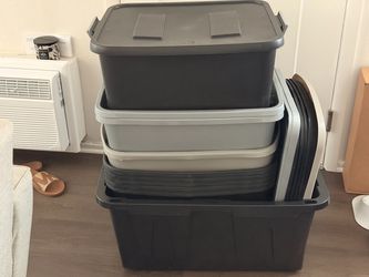 Storage Bins