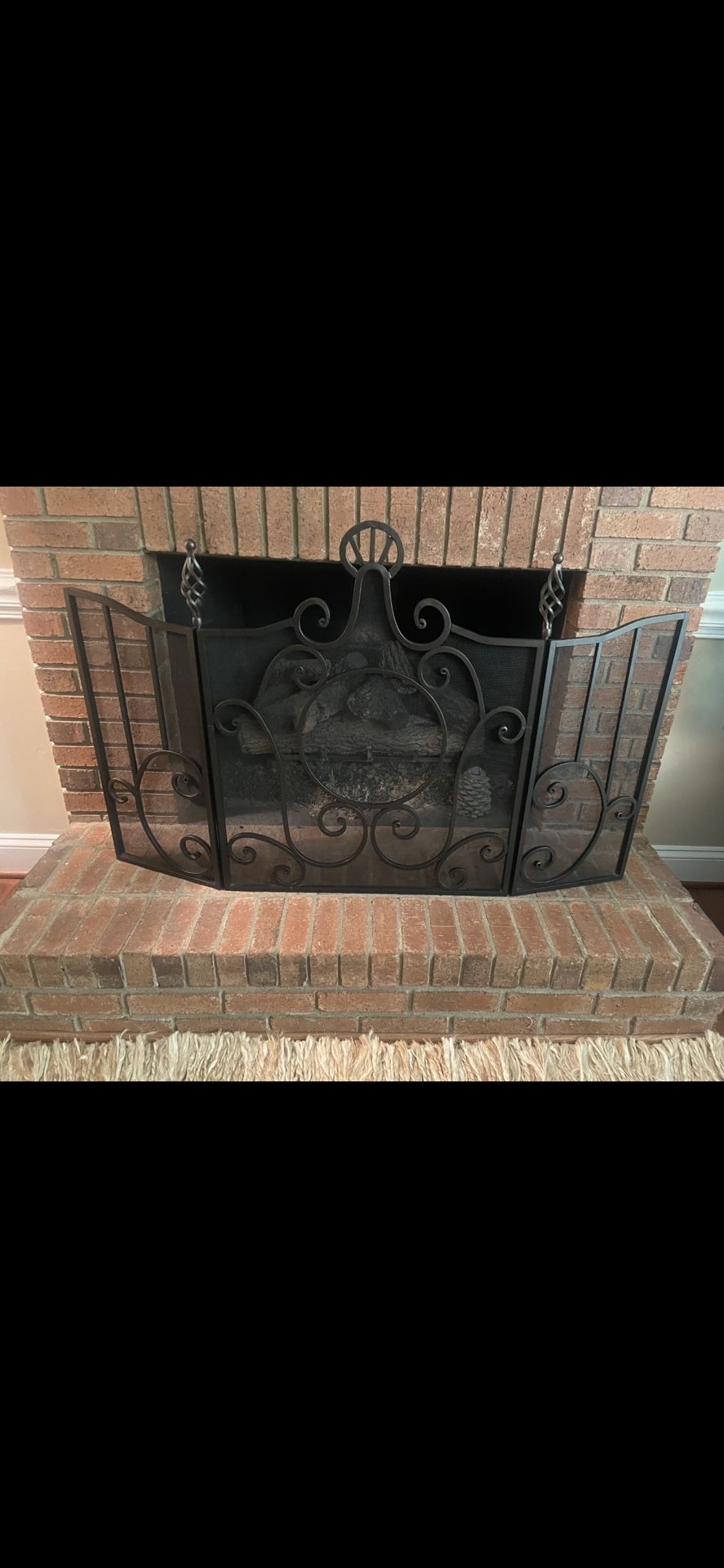 Fire Place Screen