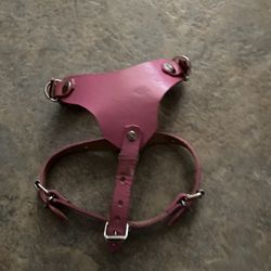 Puppy Harness 