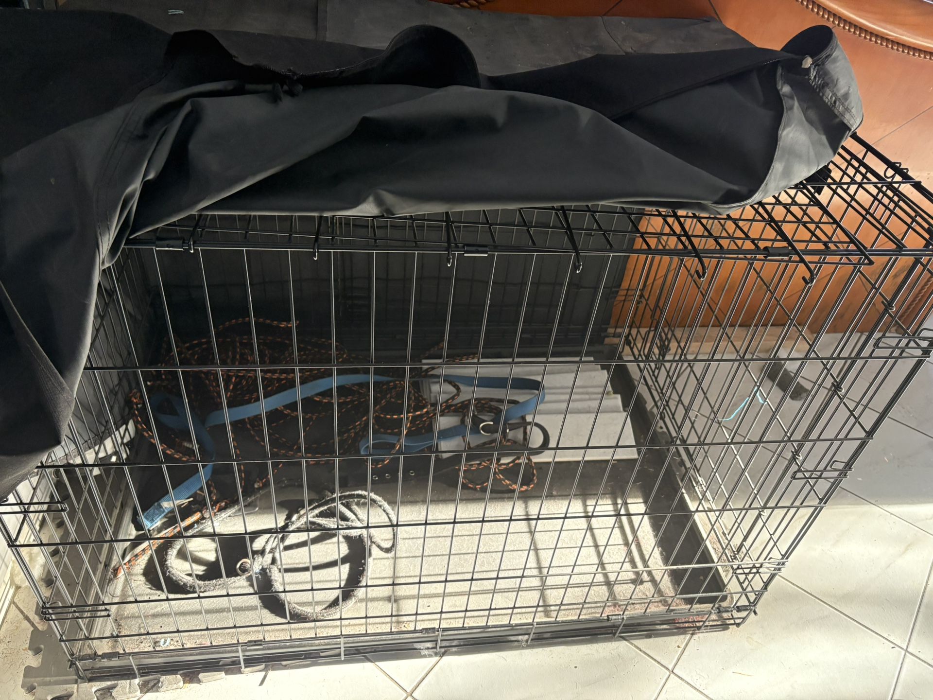 Dog House