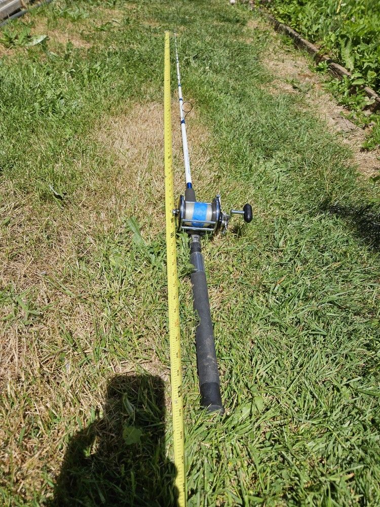 Fishing rod and reel. $30