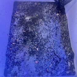 Aquarium Sand 