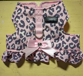 Bebe doggy outfit