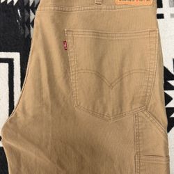 Men Levi Carpenter Pants 