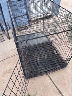 Large dog crate