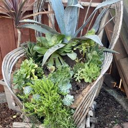 Rocking chair Planter