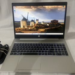 HP ProBook 450 G6 i5| 16 GB RAM | 256 GB SSD