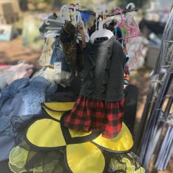 Boxes Of Small Dog Clothes 