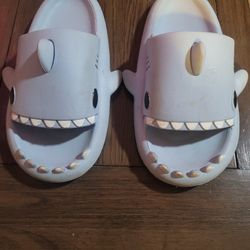 Shark Slides