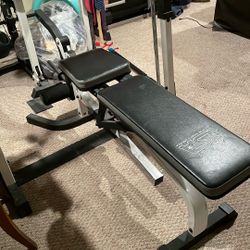 Total Sports America Workout Bench