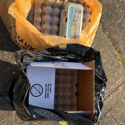 Dozens Of Egg Cartons