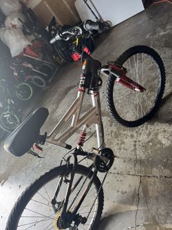 adult Bike