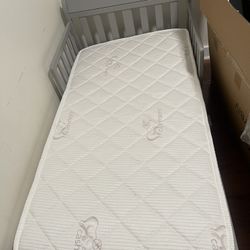 Toddler Bedframe & Mattress (Brand New)