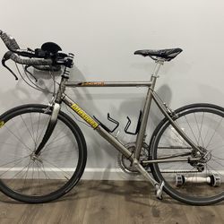 Titanium litespeed bike