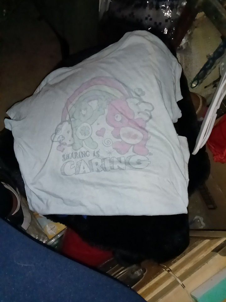 Care Bears Short Sleeved Shirt