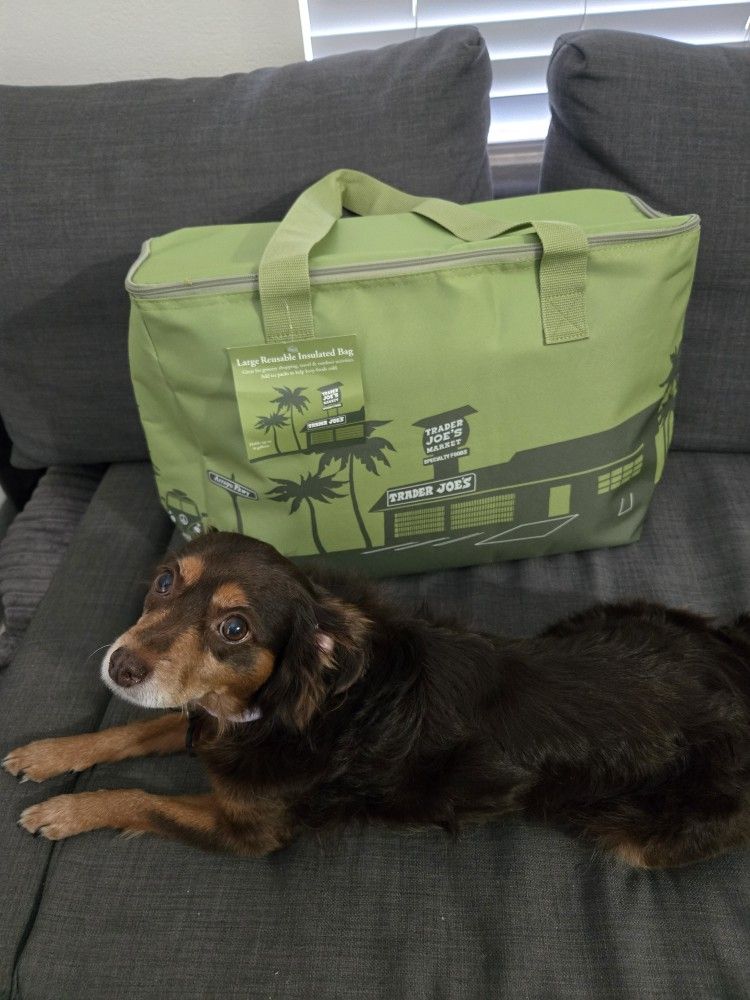 Trader Joe’s large reusable insulated tote bag
