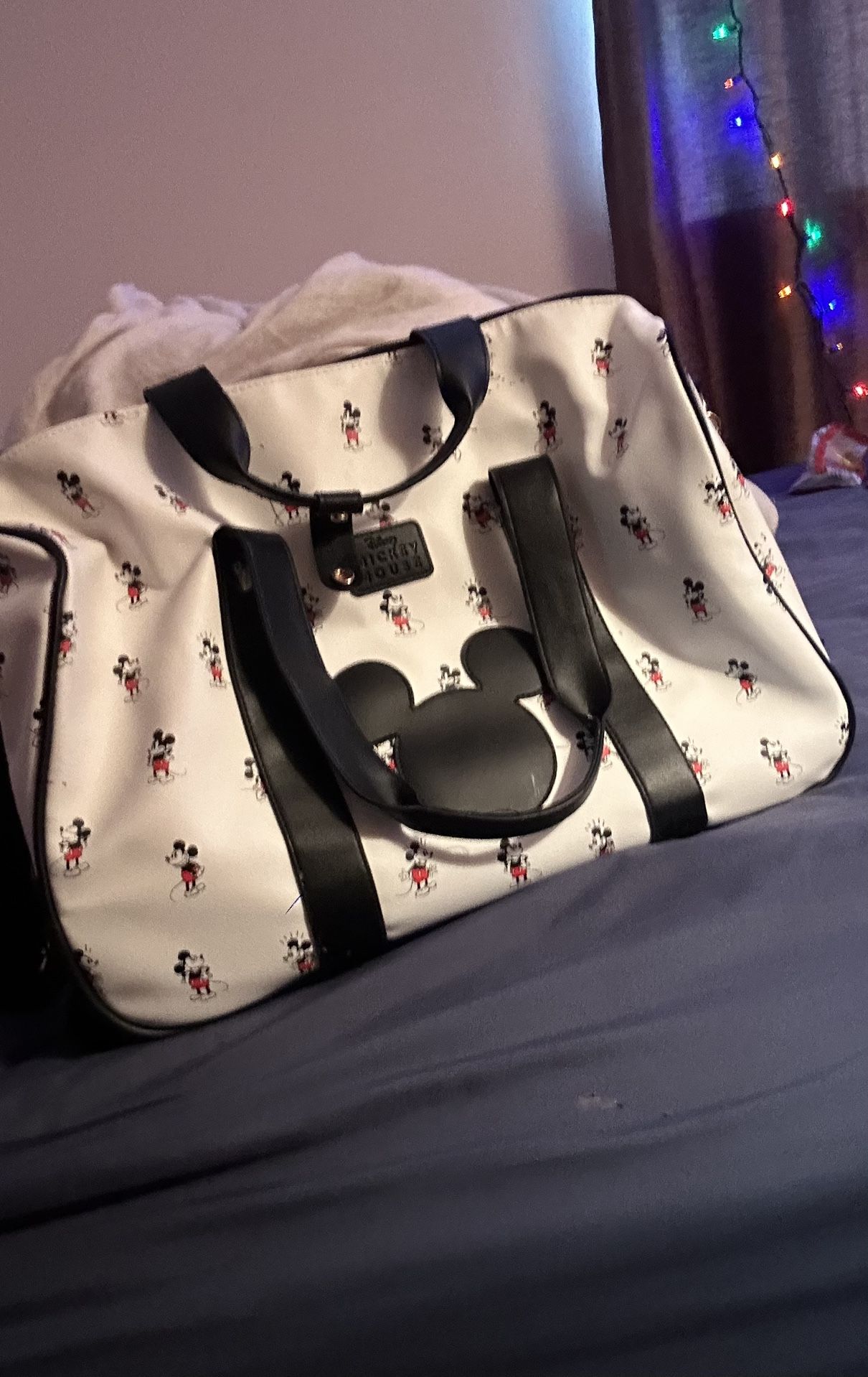 Mickey Mouse Suitcase