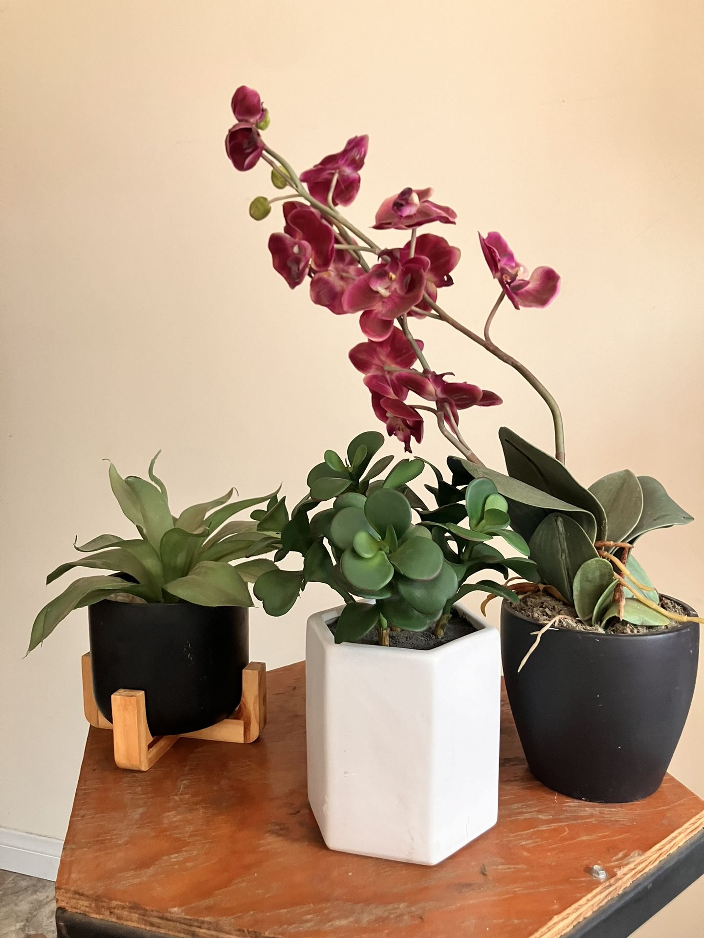 Fake Plant Bundle 