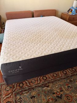Cocoon by Sealy Mattress
