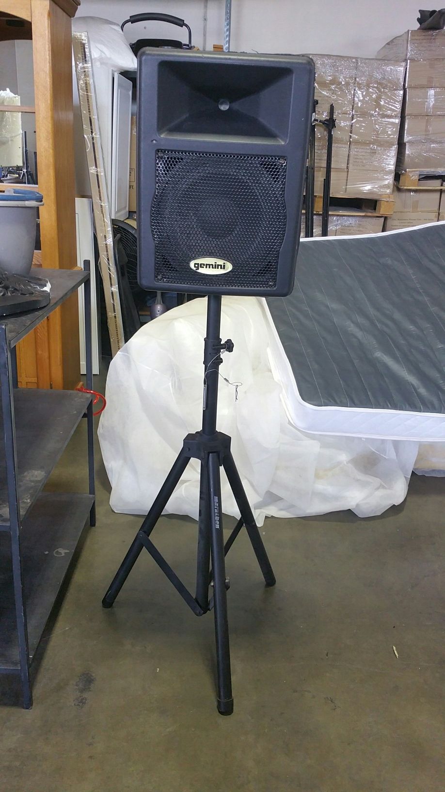 Gemini GX-250 loudspeaker with stand