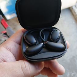 Ear Buds