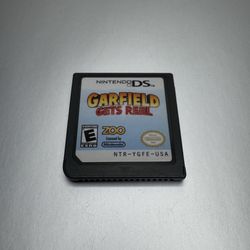 Garfield Gets Real // Nintendo DS
