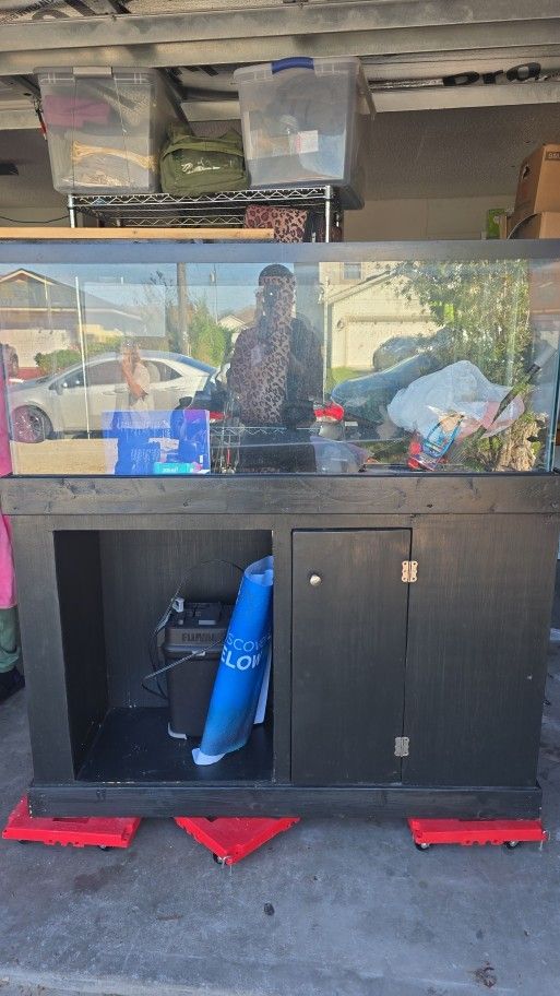 55 Gallon Aquarium /set Up 