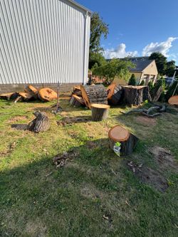 Free Wood! Come get what you want!
