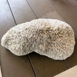 Natural Coral Ocean Specimen $75